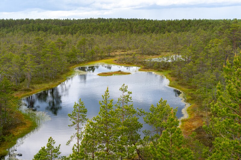 viru-raba 2025-06-07 3-35