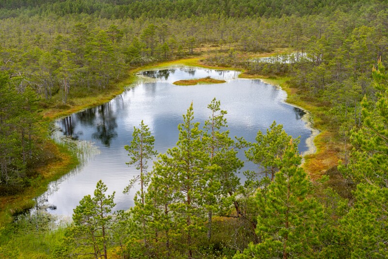 viru-raba 2025-06-07 3-36