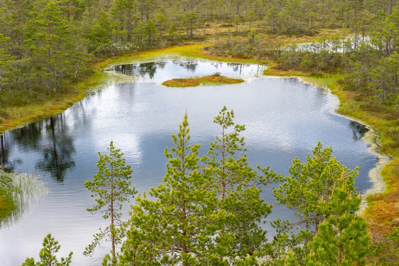 viru-raba 2025-06-07 3-37