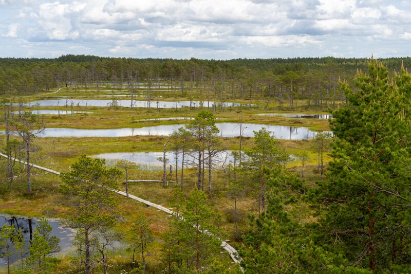 viru-raba 2025-06-07 3-42