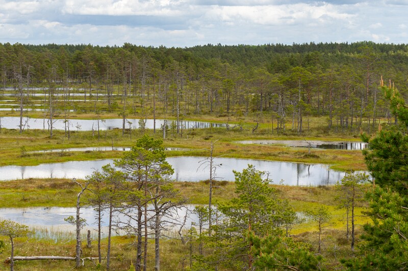 viru-raba 2025-06-07 3-43