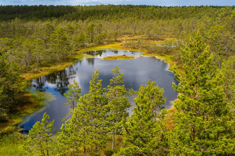 viru-raba 2025-06-07 3-44