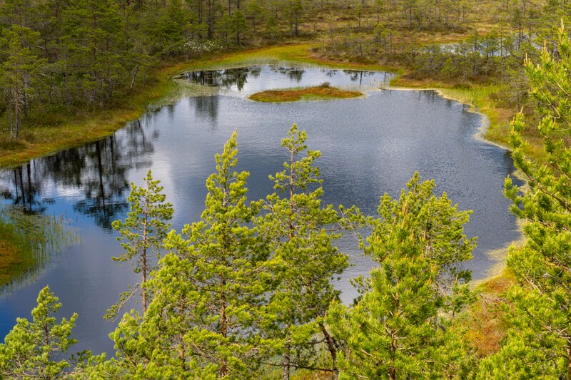 viru-raba 2025-06-07 3-45