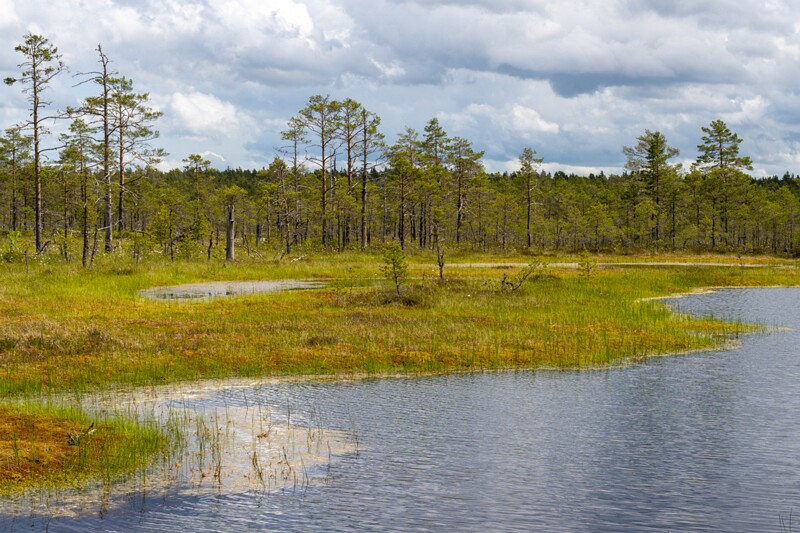 viru-raba 2025-06-07 3-58