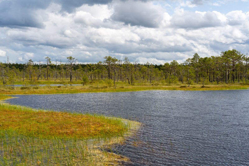 viru-raba 2025-06-07 3-62