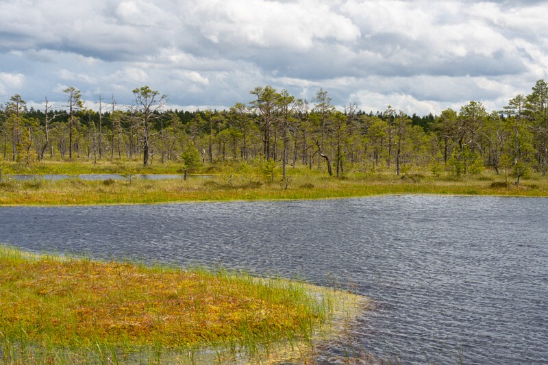 viru-raba 2025-06-07 3-63