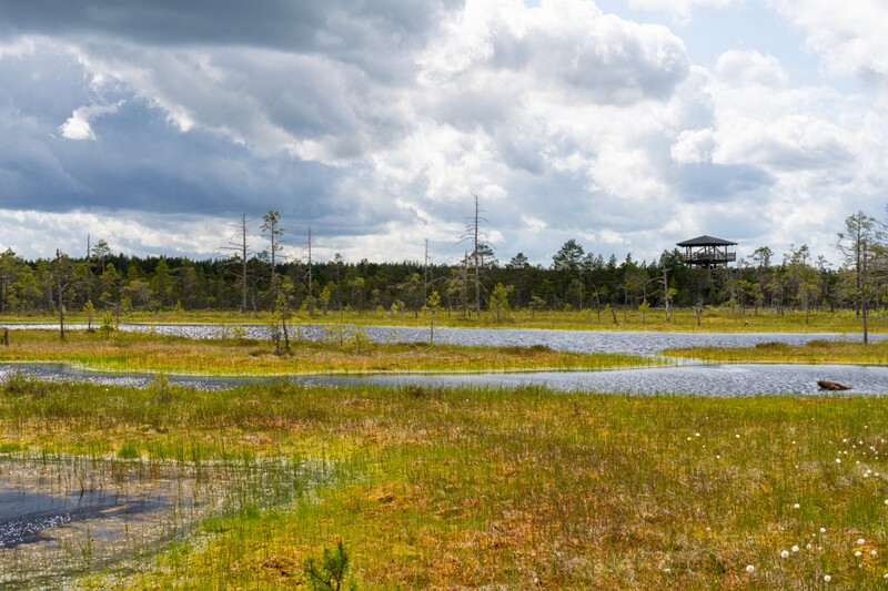 viru-raba 2025-06-07 3-70