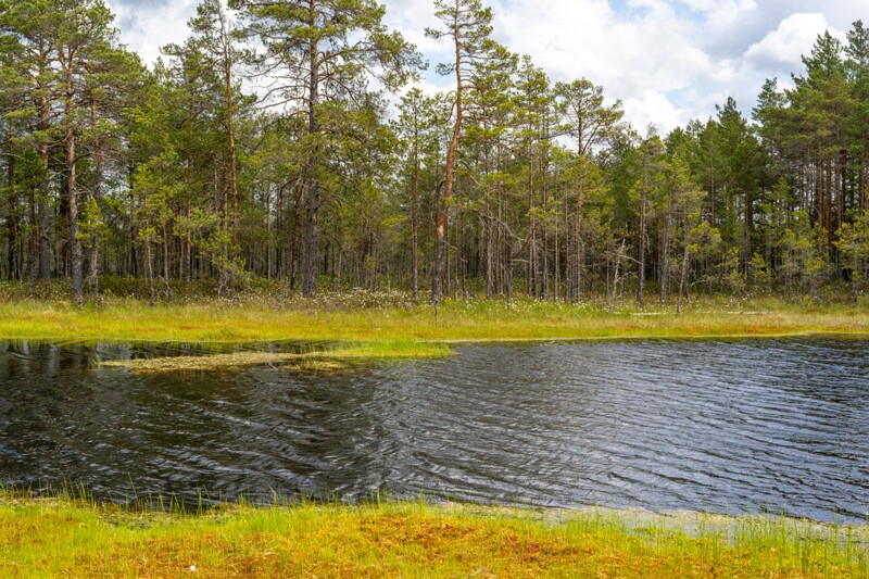 viru-raba 2025-06-07 3-72