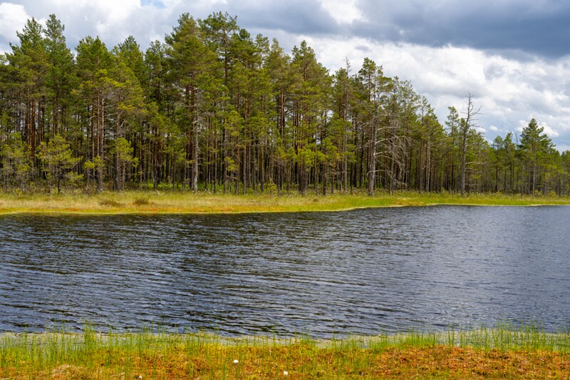 viru-raba 2025-06-07 3-73