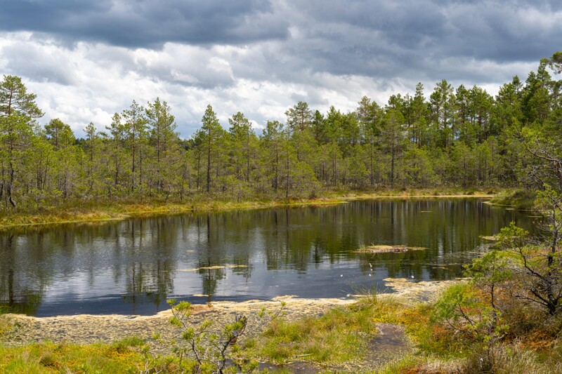 viru-raba 2025-06-07 3-75