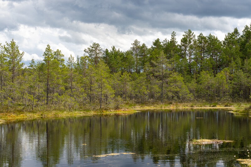 viru-raba 2025-06-07 3-78