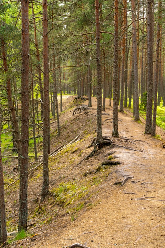 viru-raba 2025-06-07 5-6