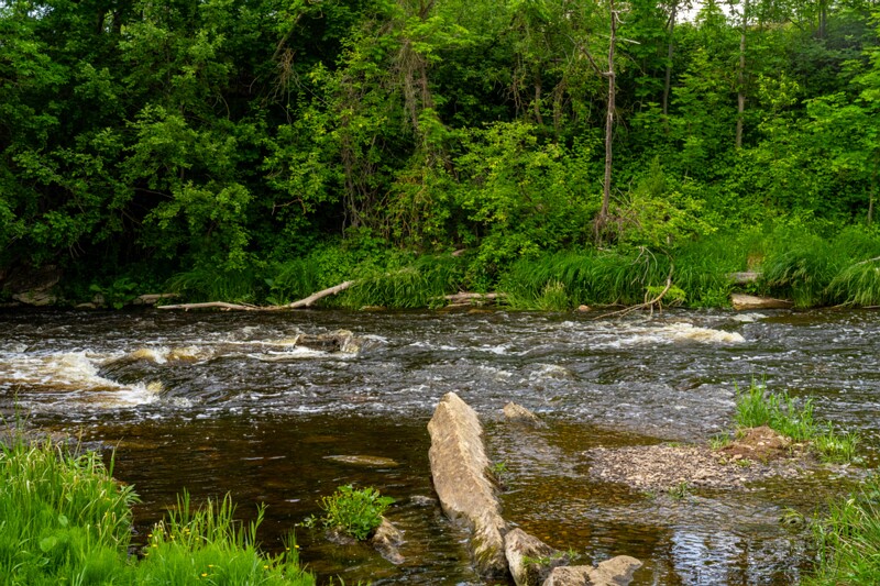 Jägala jõgi (suvel)