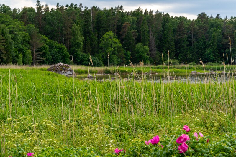 Käsmu poolsaar