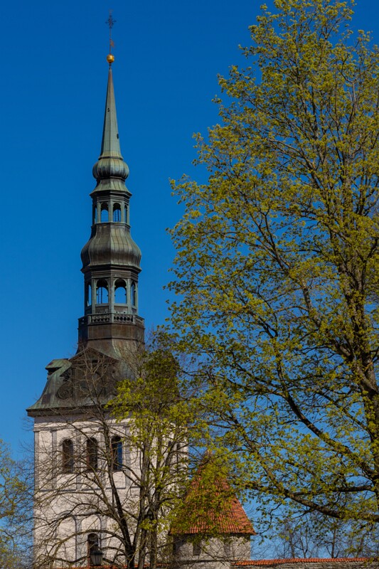 Tallinna Niguliste kirik